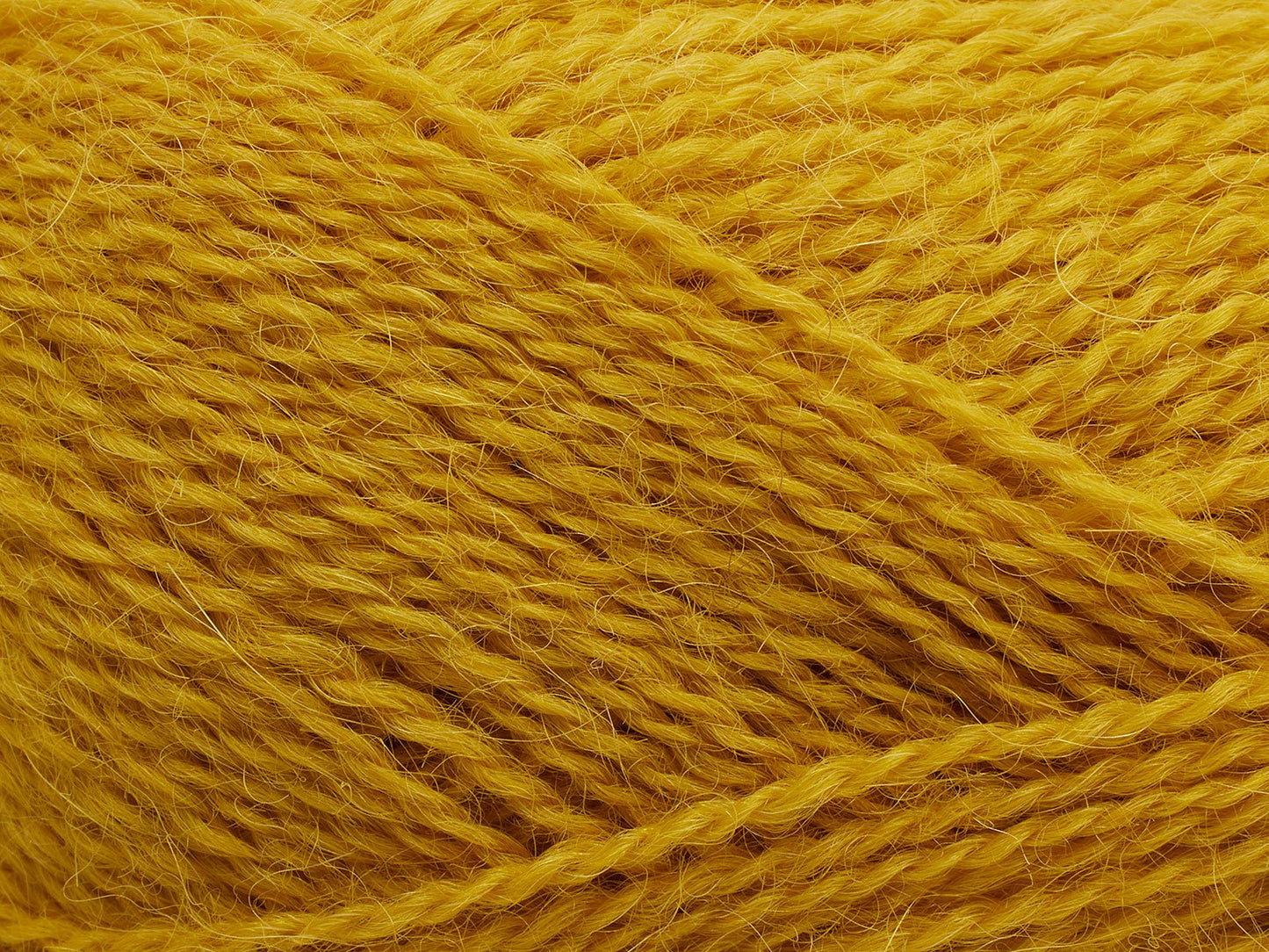 FILCOLANA Alva Yarn Curry - 285 | Knitting yarn shop / dzijas veikals