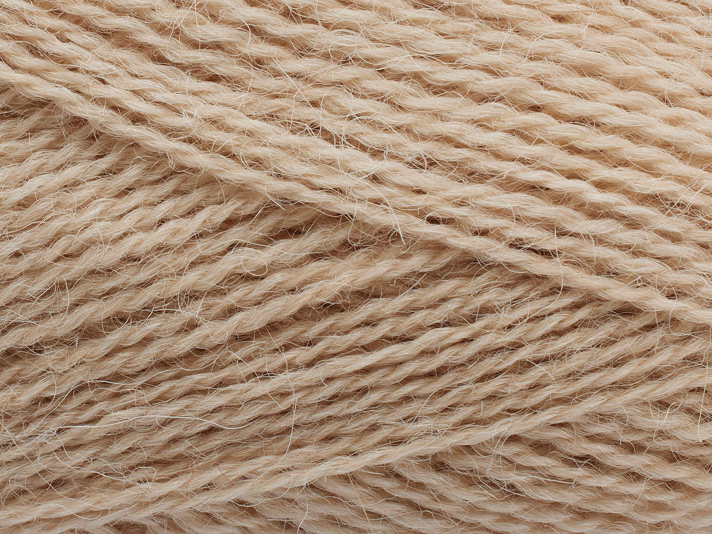 FILCOLANA Alva Yarn Desert Sand - 207 | Knitting yarn shop / dzijas veikals