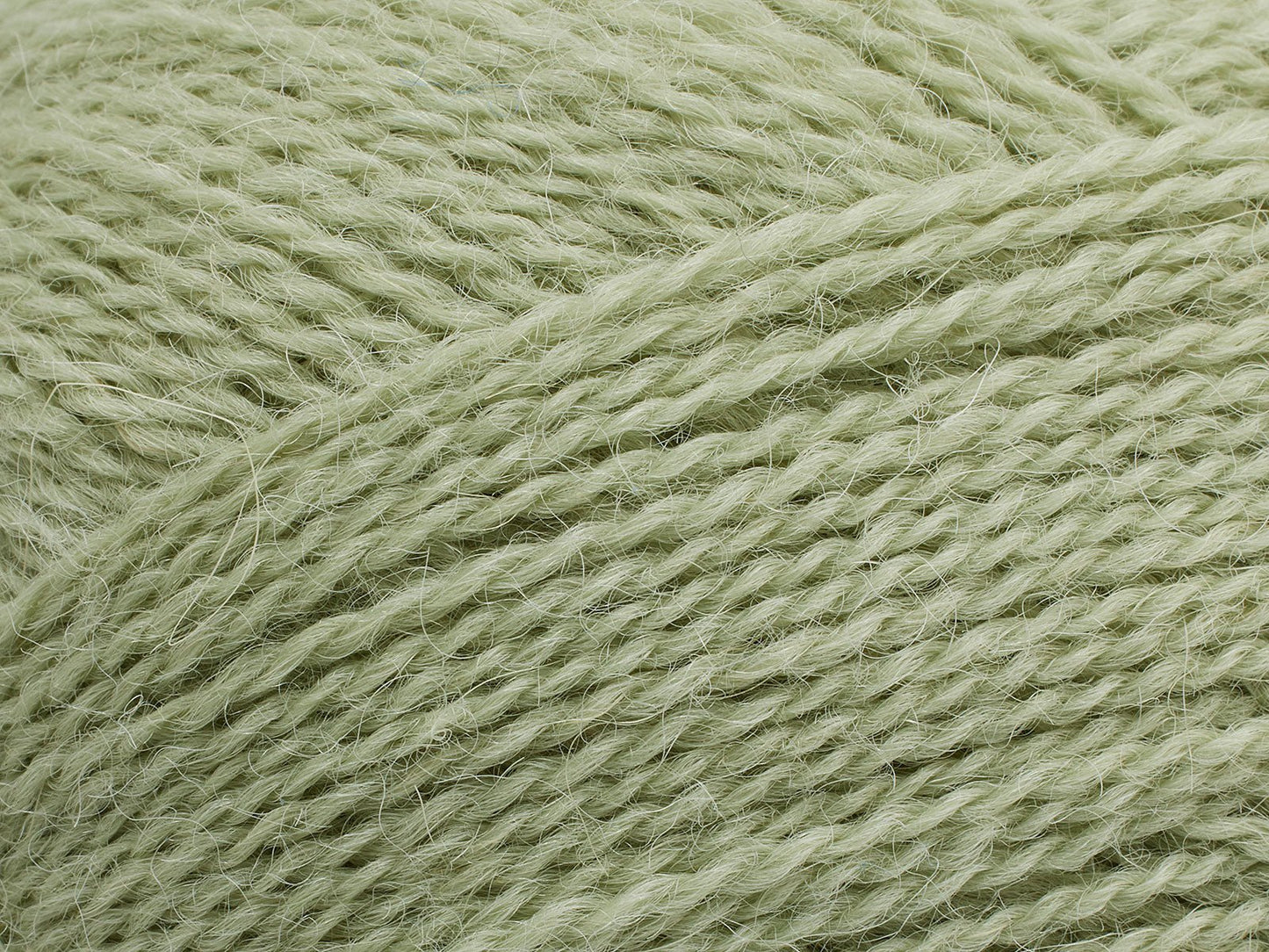 FILCOLANA Alva Yarn Green Tea - 355 | Knitting yarn shop / dzijas veikals