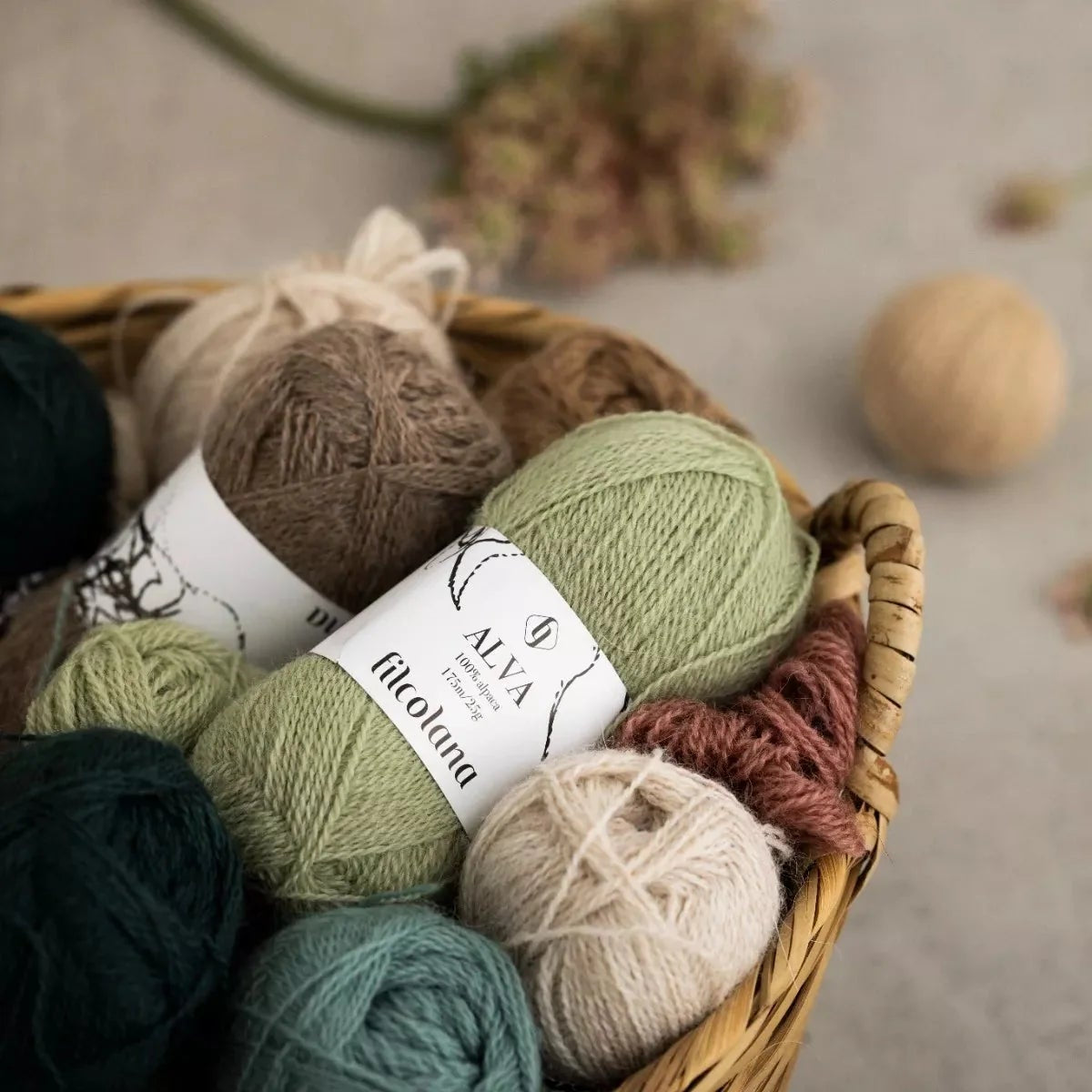 FILCOLANA Alva Yarn Natural White - 101 | Knitting yarn shop / dzijas veikals