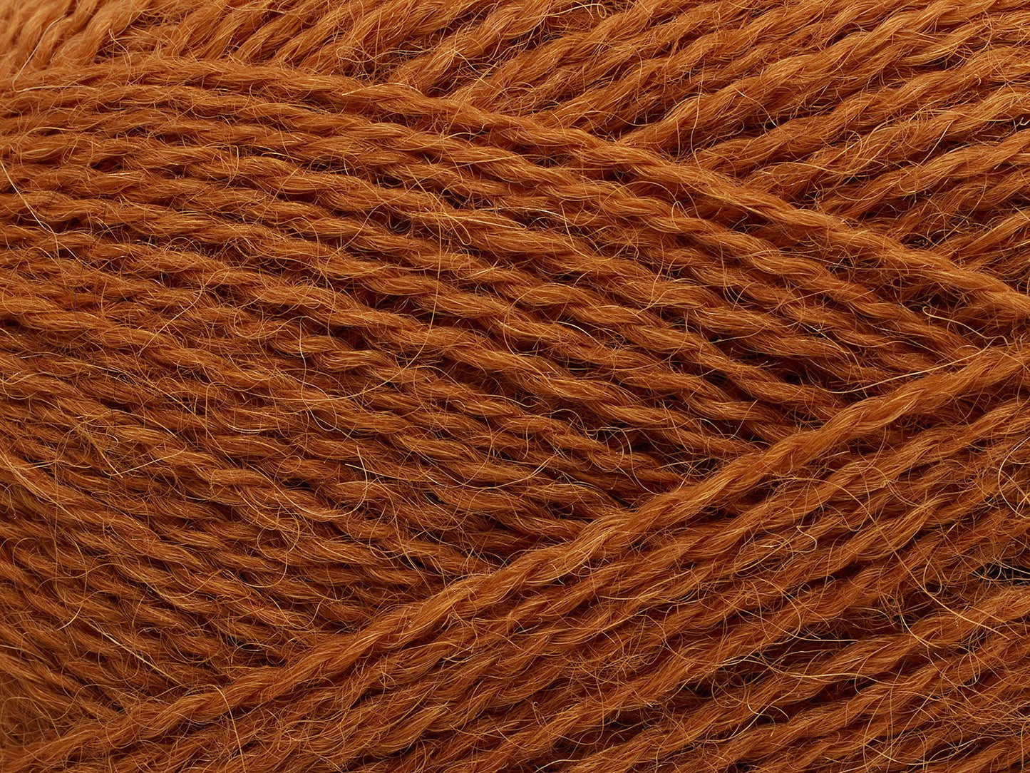 FILCOLANA Alva Yarn Sugar Almond - 366 | Knitting yarn shop / dzijas veikals