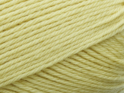 FILCOLANA Anina Merino Yarn Ballerina - 318 | Knitting yarn shop / dzijas veikals