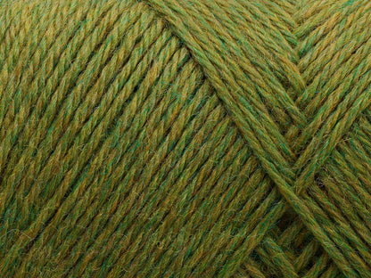 FILCOLANA Arwetta 70 color variants Avocado - 809 | Knitting yarn shop / dzijas veikals
