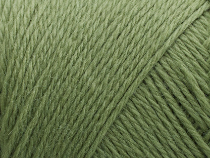 FILCOLANA Arwetta 70 color variants Basswood Green - 243 | Knitting yarn shop / dzijas veikals