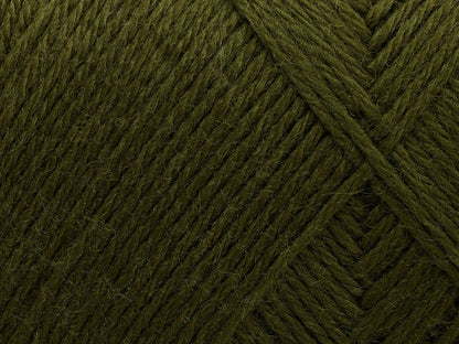 FILCOLANA Arwetta 70 color variants Deep Olive - 148 | Knitting yarn shop / dzijas veikals