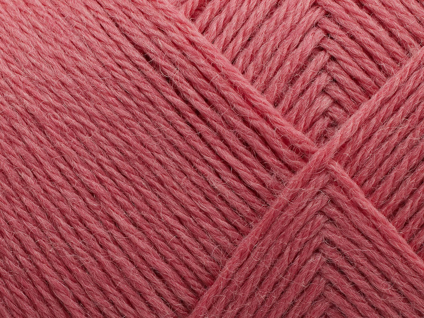 FILCOLANA Arwetta 70 color variants Madeira Rose - 361 | Knitting yarn shop / dzijas veikals