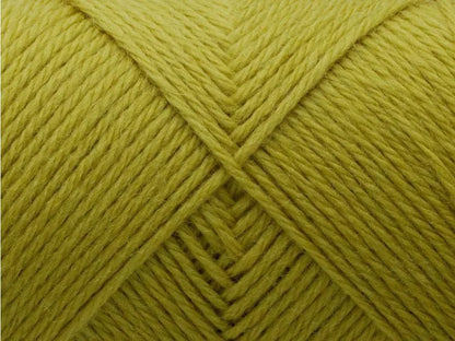FILCOLANA Arwetta Sprout - 379 | Knitting yarn shop / dzijas veikals