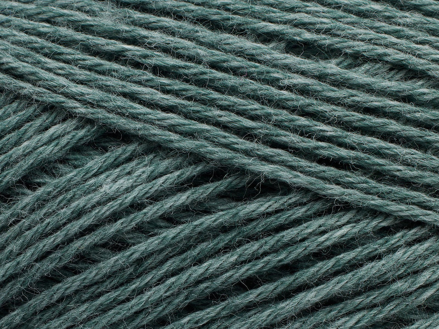 FILCOLANA Merci Fern - 602 | Knitting yarn shop / dzijas veikals