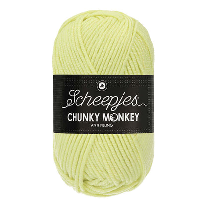 Scheepjes Chunky Monkey 100g 1020 Mint | Knitting yarn shop / dzijas veikals