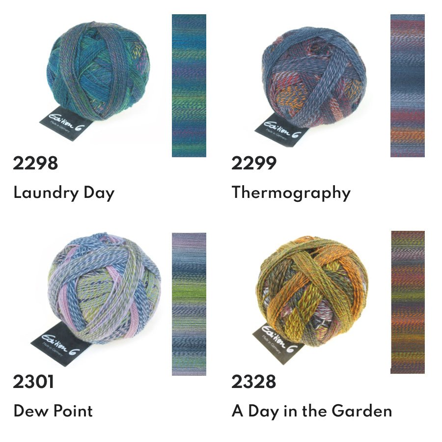 Schoppel Edition 6 Extra - Fine Merino Wool Yarn 2100_Domino | Knitting yarn shop / dzijas veikals