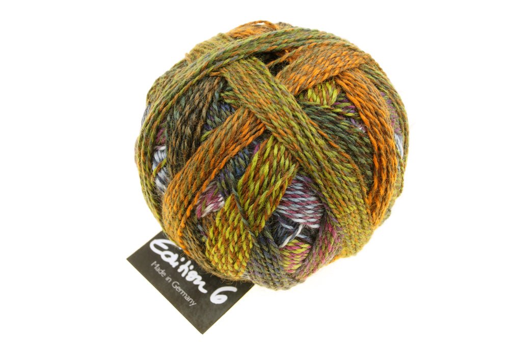 Schoppel Edition 6 Extra - Fine Merino Wool Yarn 2328_A Day in the Garden | Knitting yarn shop / dzijas veikals