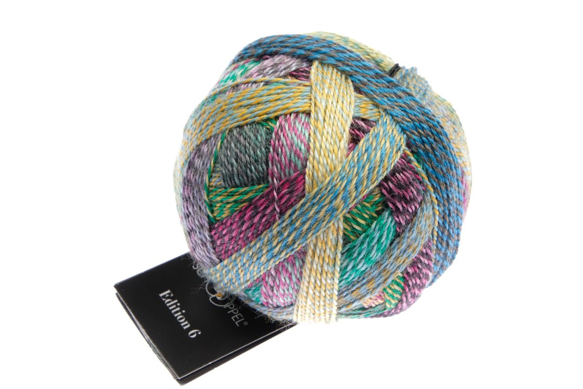 Schoppel Edition 6 Extra - Fine Merino Wool Yarn 2511_All inclusiv | Knitting yarn shop / dzijas veikals