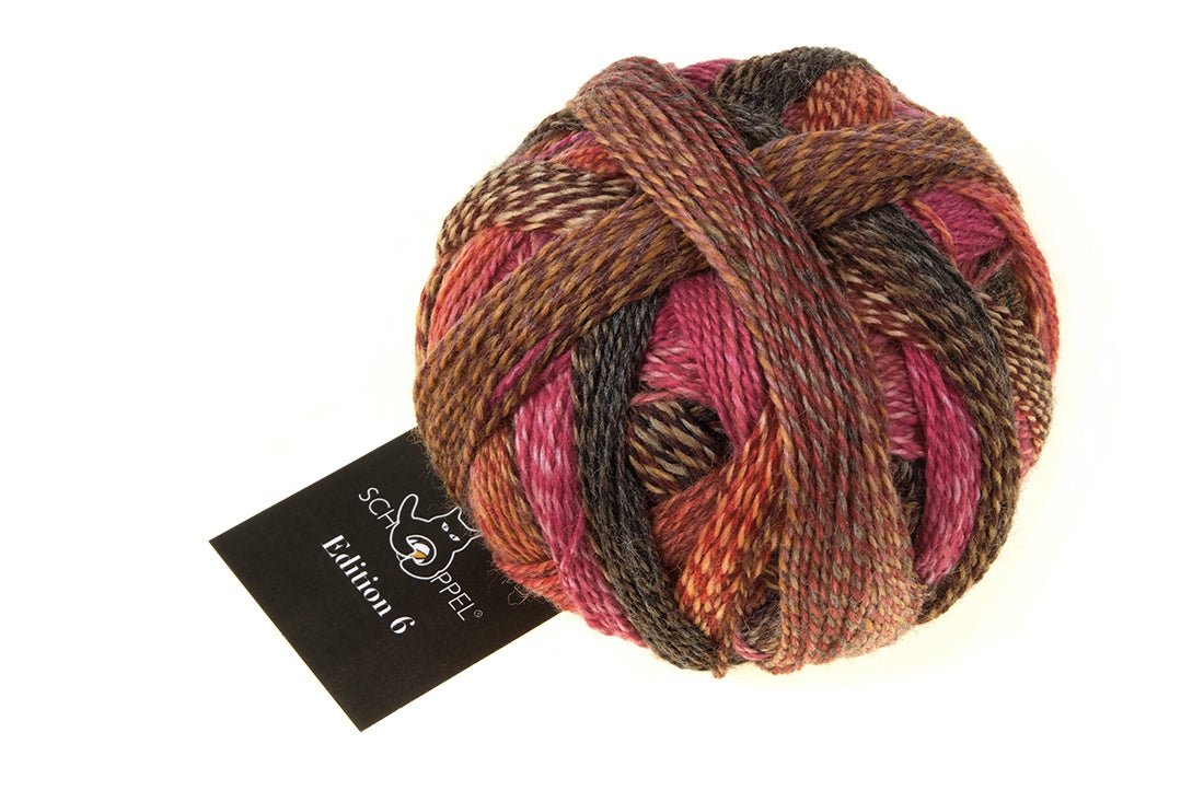 Schoppel Edition 6 Extra - Fine Merino Wool Yarn 2511_All inclusiv | Knitting yarn shop / dzijas veikals
